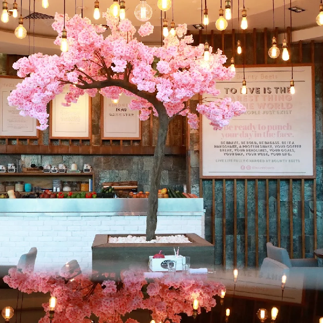 Bright pink interior of Bounty Beets café in Dubai Marina